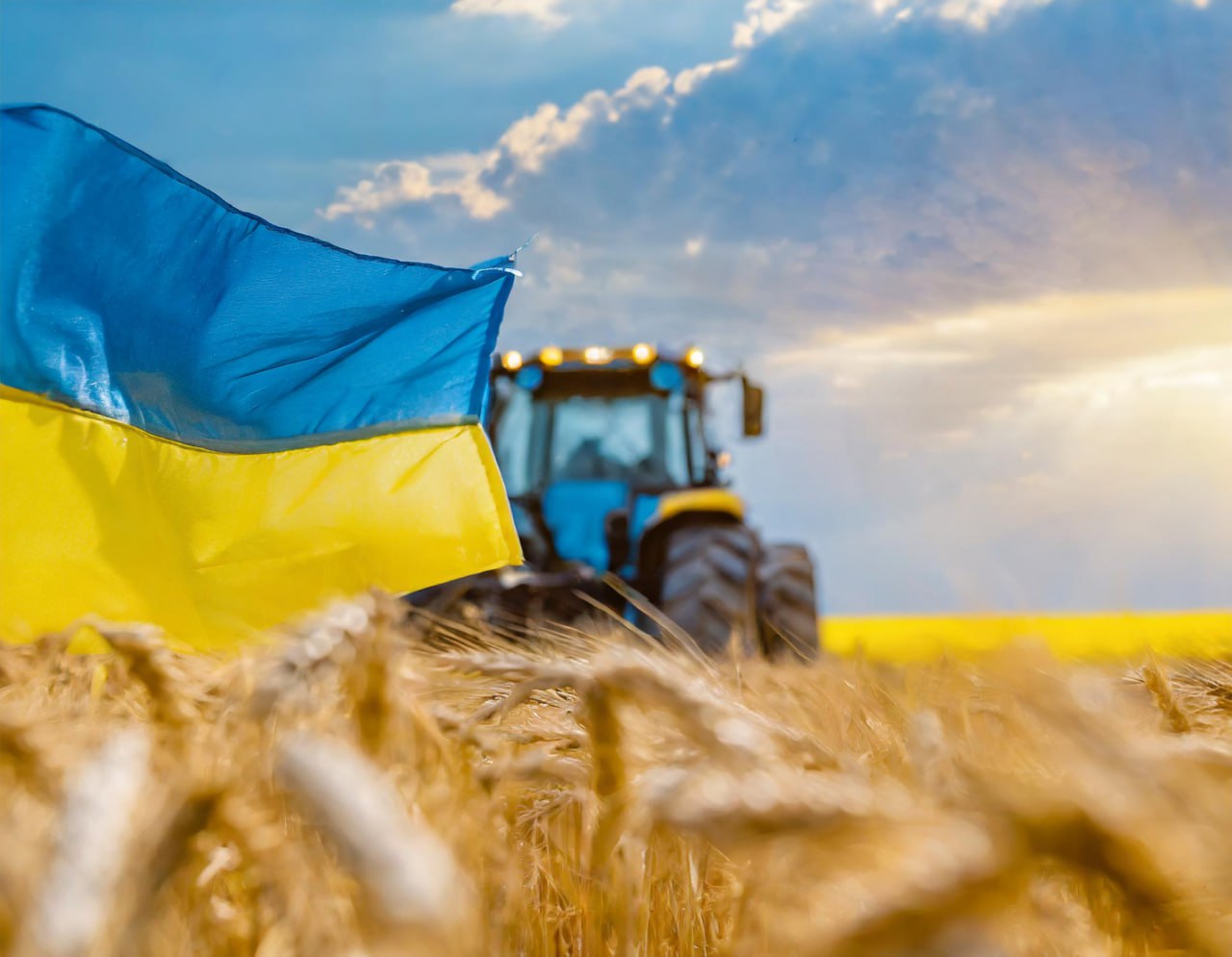 Депутати затвердили рішення щодо доповнення переліку сільськогосподарських товаровиробників, що постраждали внаслідок російської агресії та мають  спрощену систему оподаткування