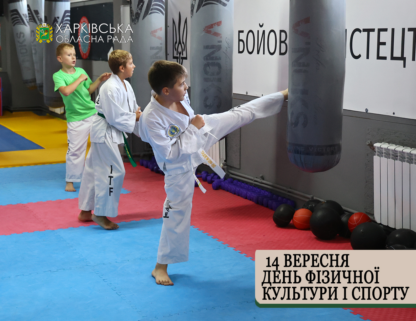 З Днем фізичної культури і спорту!