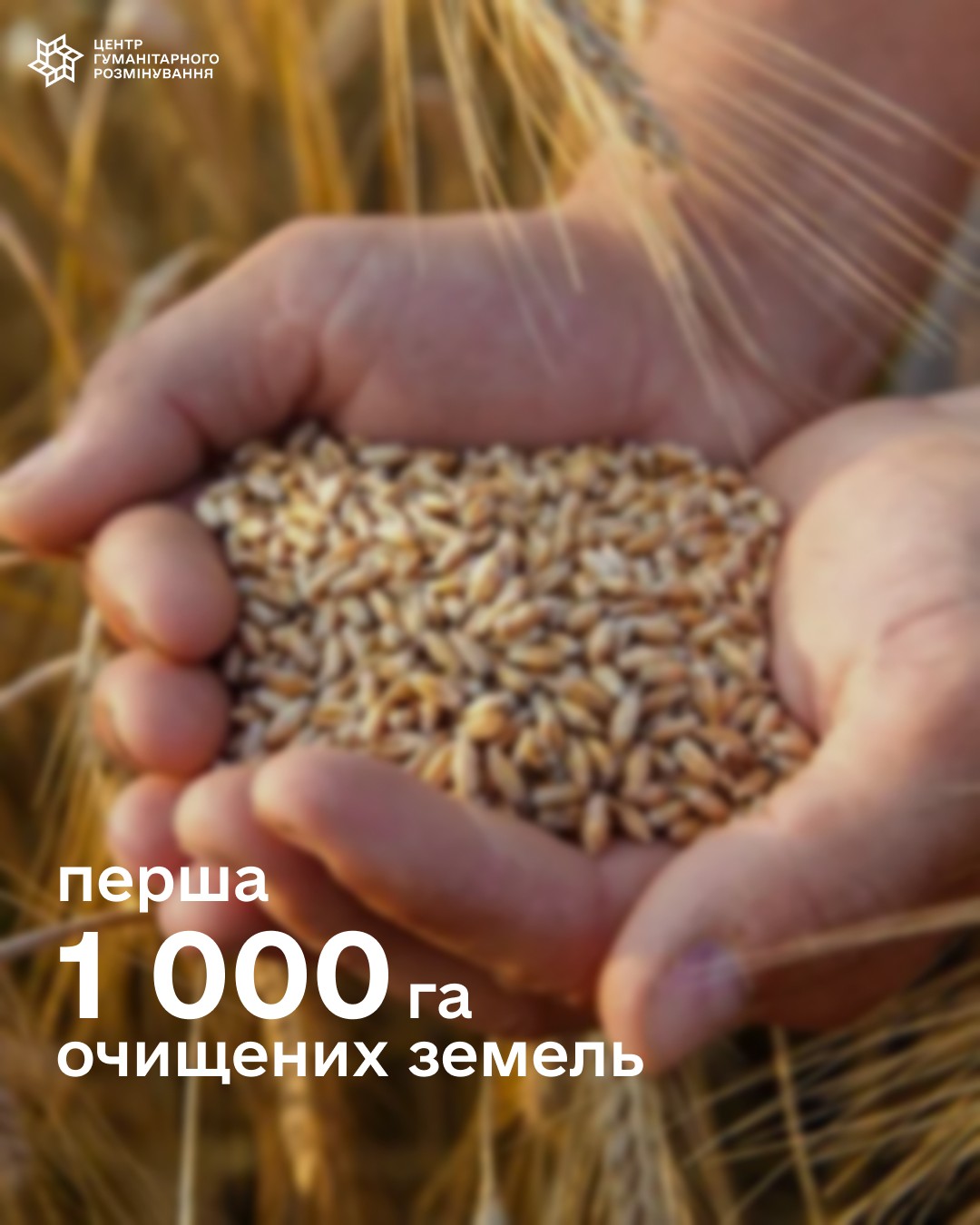 На Харківщині у межах державної програми компенсації аграріям за розмінування земель очищено 28,5 гектара