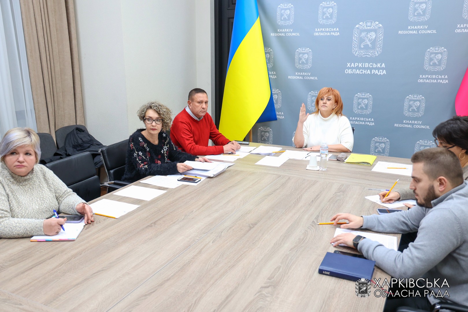 Відбулося засідання постійної комісії з питань спільної власності територіальних громад області