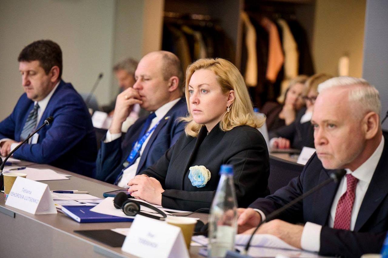 Тетяна Єгорова-Луценко працює в межах V Діалогу високого рівня Ради Європи з питань належного демократичного врядування в Україні